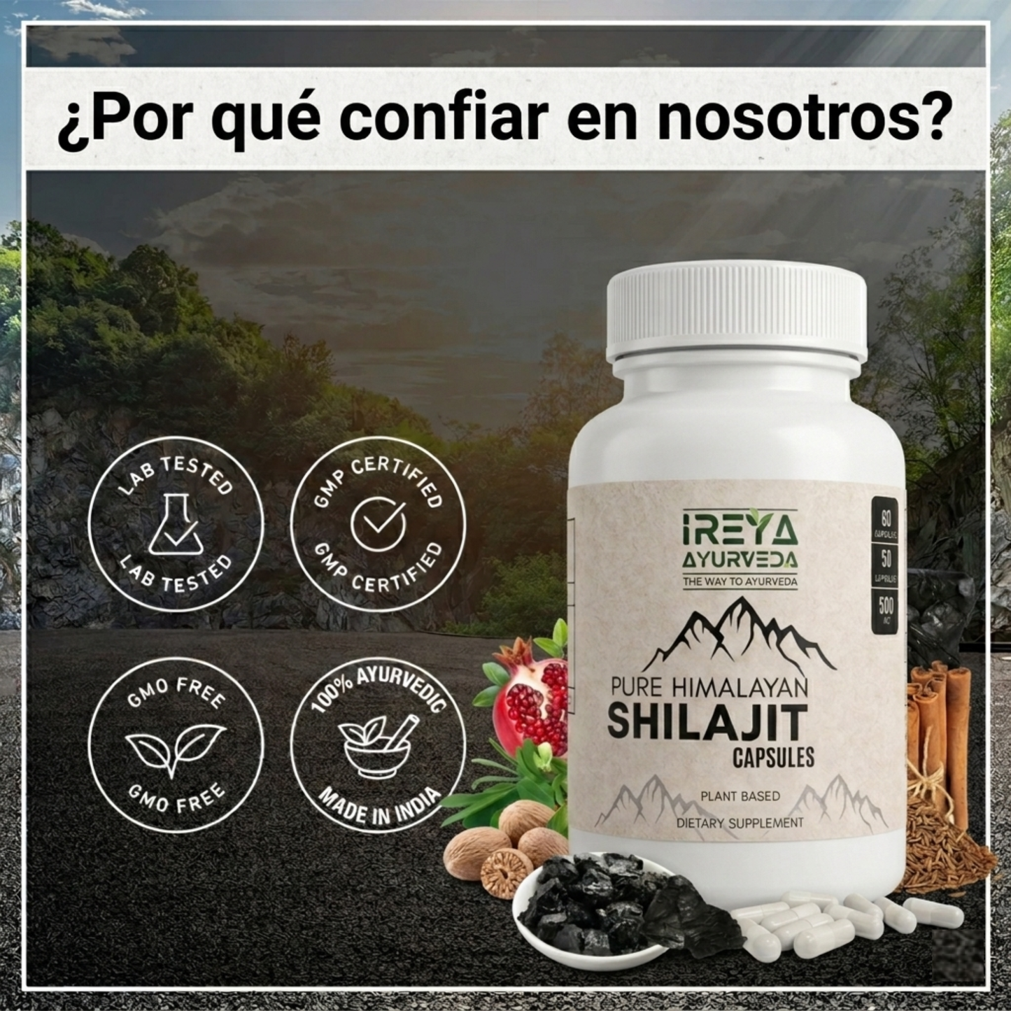 Shilajit, mejora tu Salud